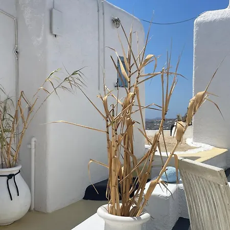 게스트하우스 Vougli View Mykonos