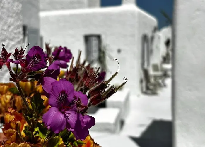 Vendégház Vougli View Mykonos Drafaki