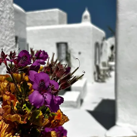 בית הארחה Vougli View Mykonos Drafaki